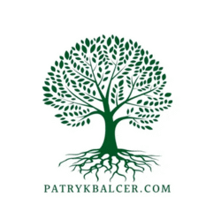 Patryk Balcer Ustawienia Systemowe